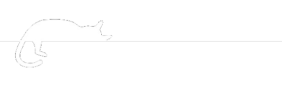 There are currently no workshops available